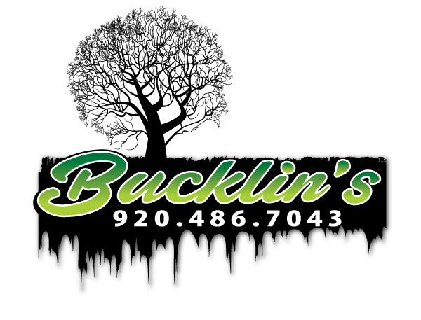 Bucklin's