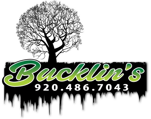 Bucklin&#39;s – Bucklin&#39;s